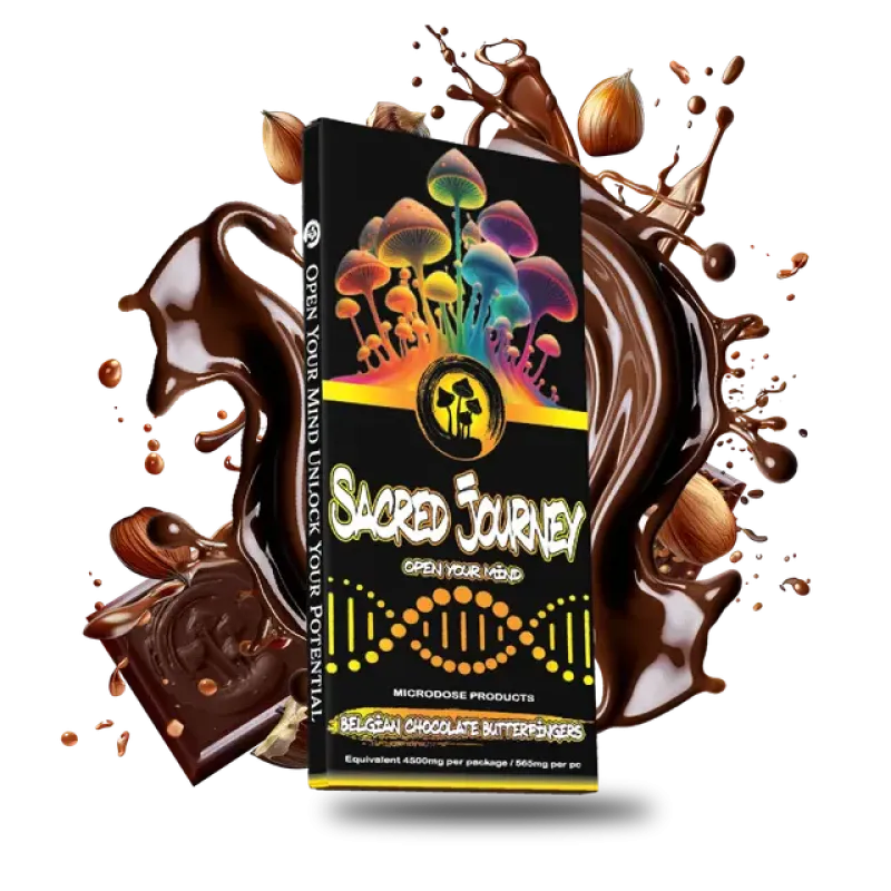 SACRED JOURNEY MUSHROOM CHOCOLATE BARS 6CT DISPLAY 4500MG